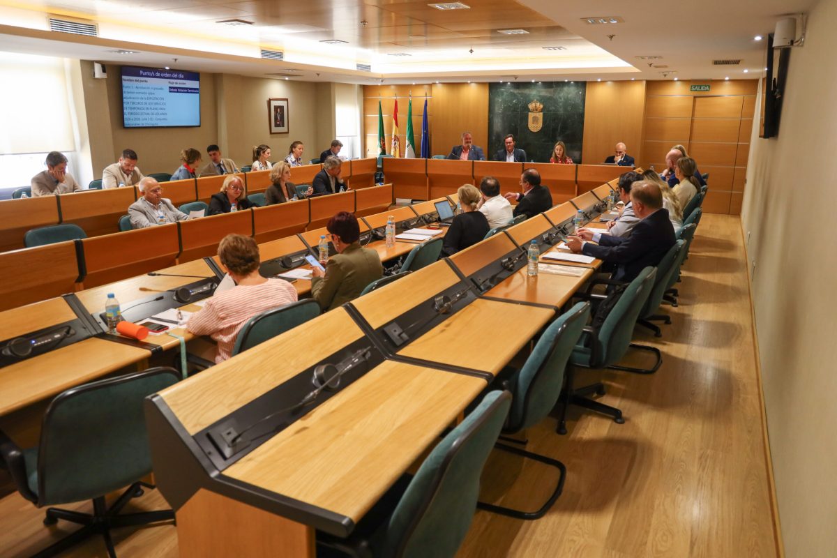Pleno de El Ejido. /DC