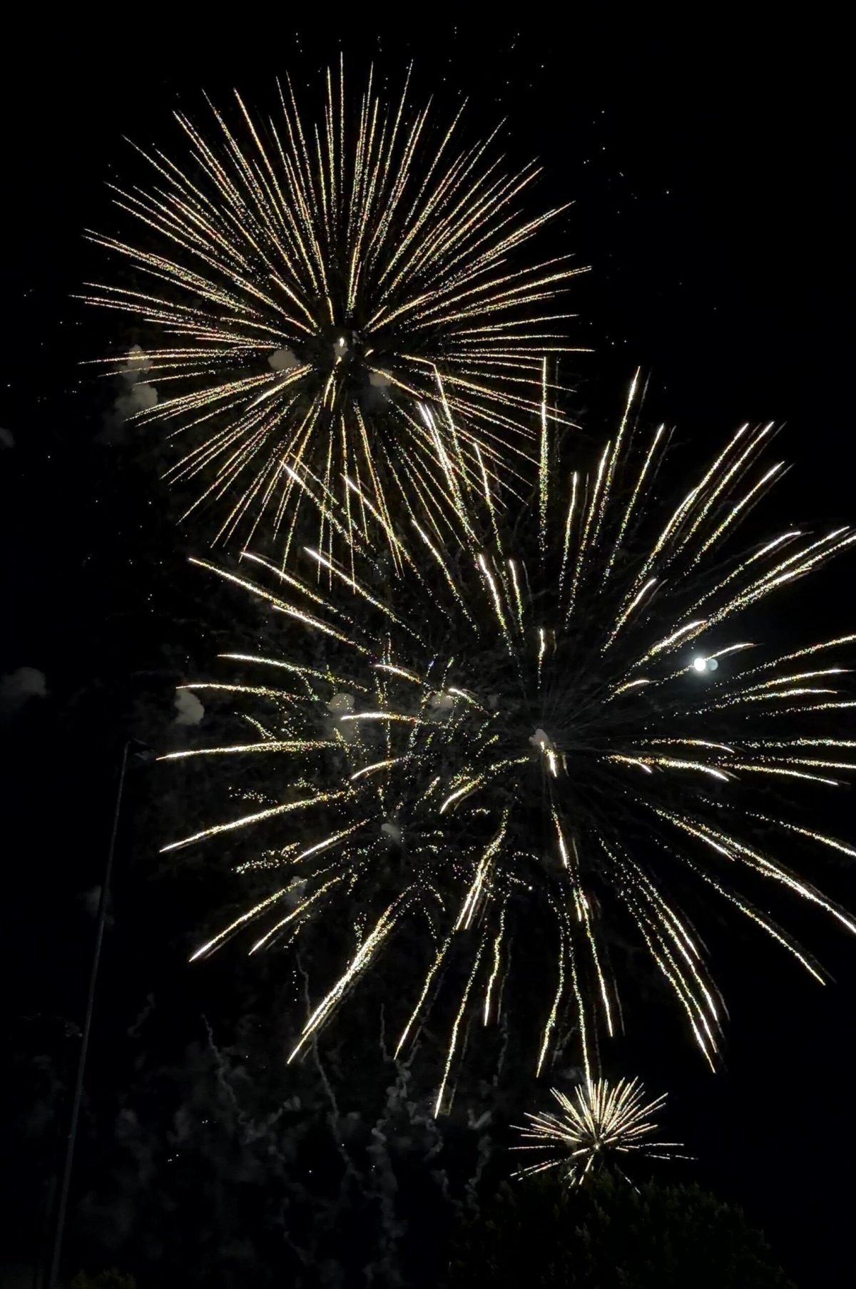El XXVIII Festival de Pirotecnia ilumina el cielo de El Ejido con el espectáculo ‘Fireter’ de la empresa alicantina ‘Dragon S.L.’