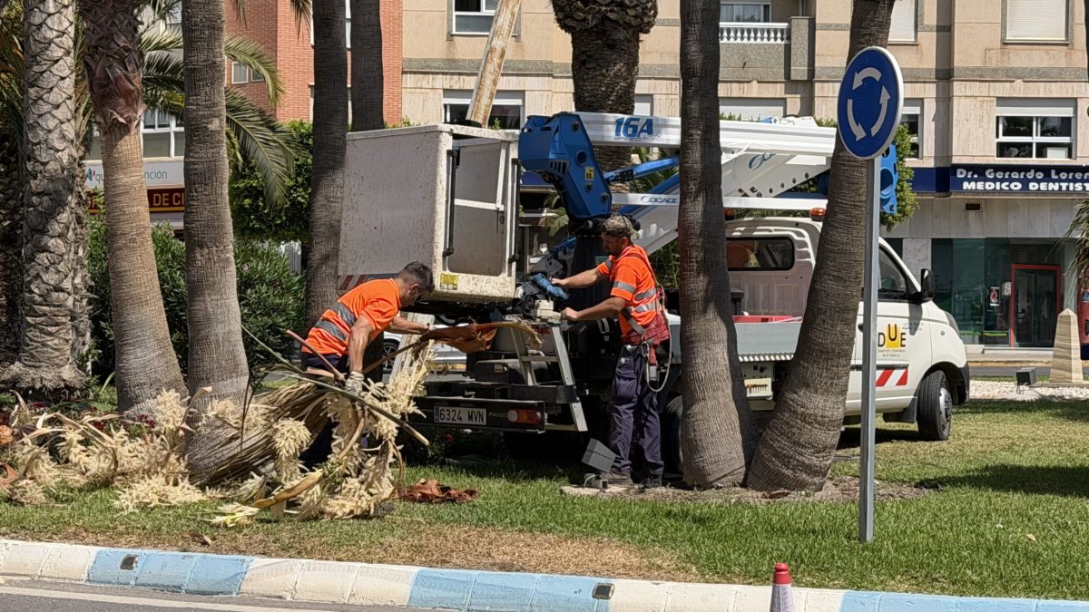 Operarios del Ayuntamiento de El Ejido. /DC