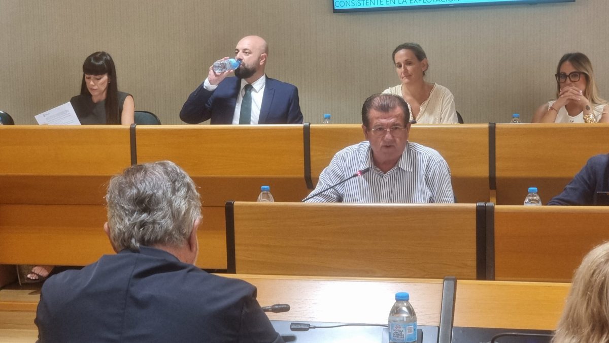 José Miguel Alarcón en el Pleno de El Ejido. /DC