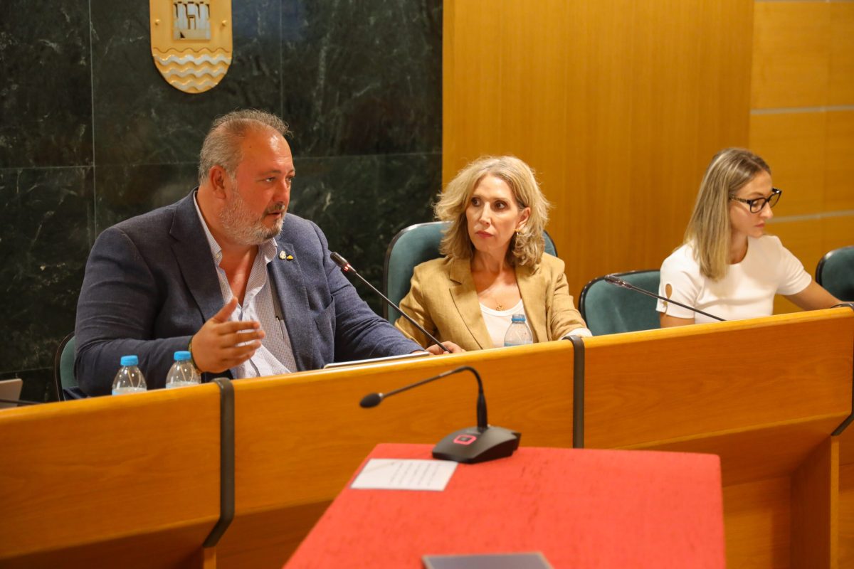 Pleno de El Ejido. /DC