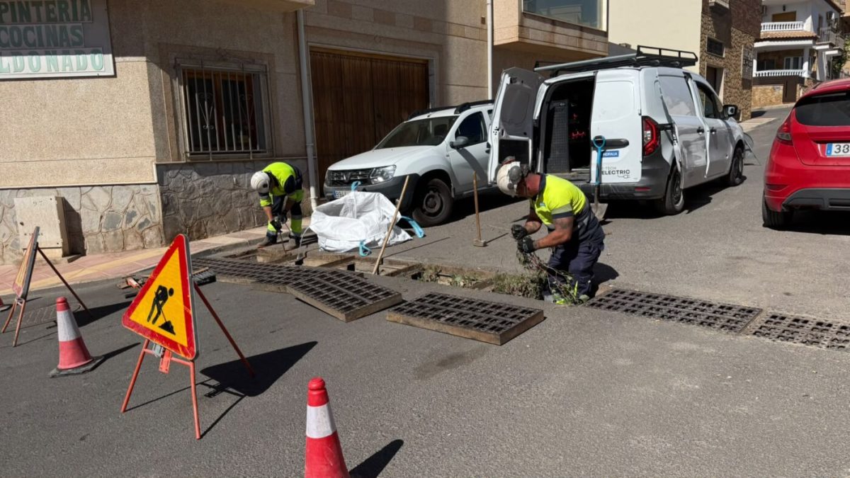 Trabajos de limpieza en Adra. /DC