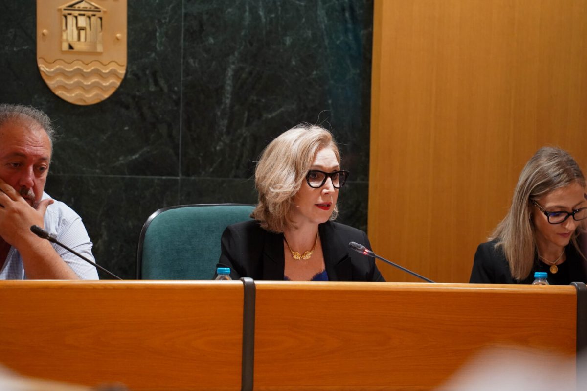 La alcaldesa de El Ejido, Julia Ibáñez, en el Pleno de esta mañana.