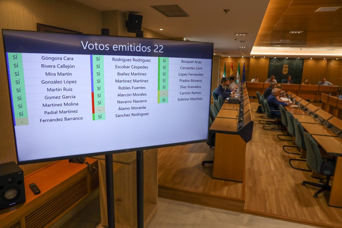 Pantalla con los votos del Pleno ejidense. /Ayto. El Ejido