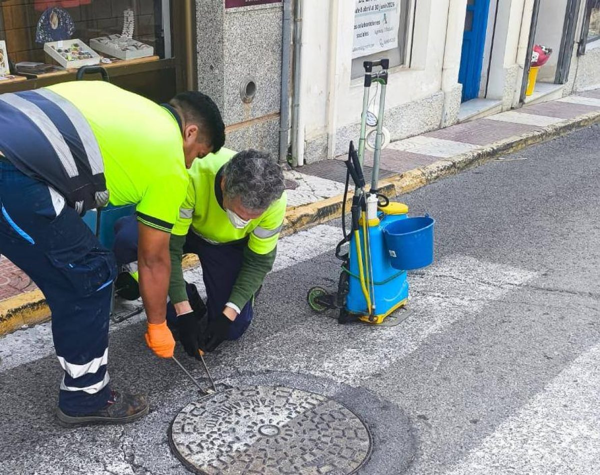 Trabajos de desinfección en Dalías. /DC