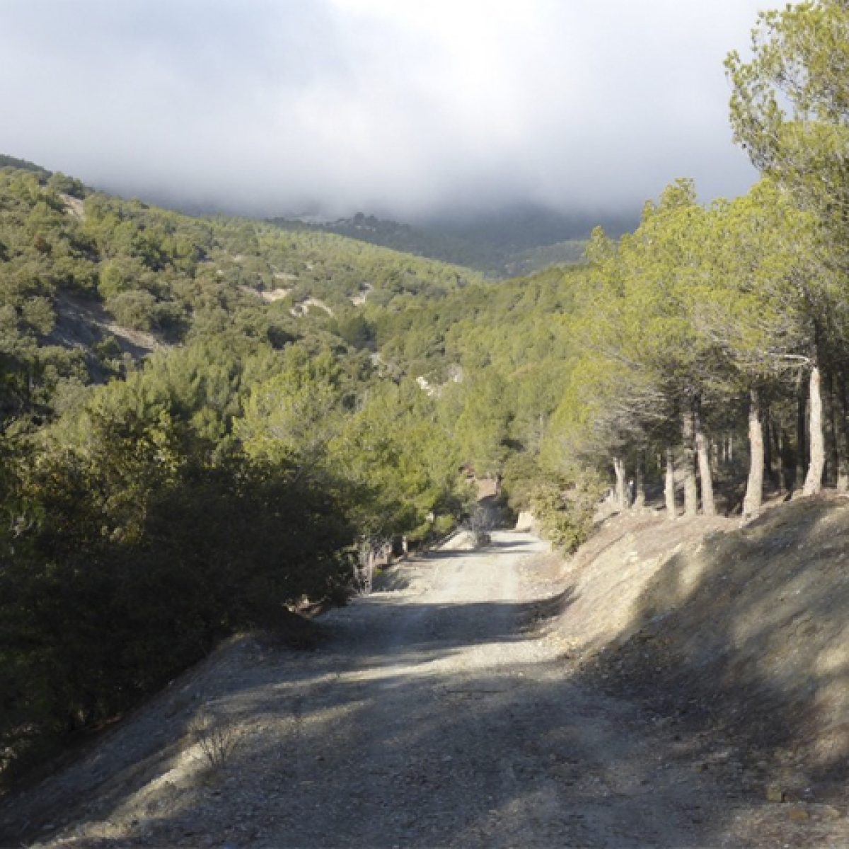Sierra de Los Filabres. /Ayto. Vícar