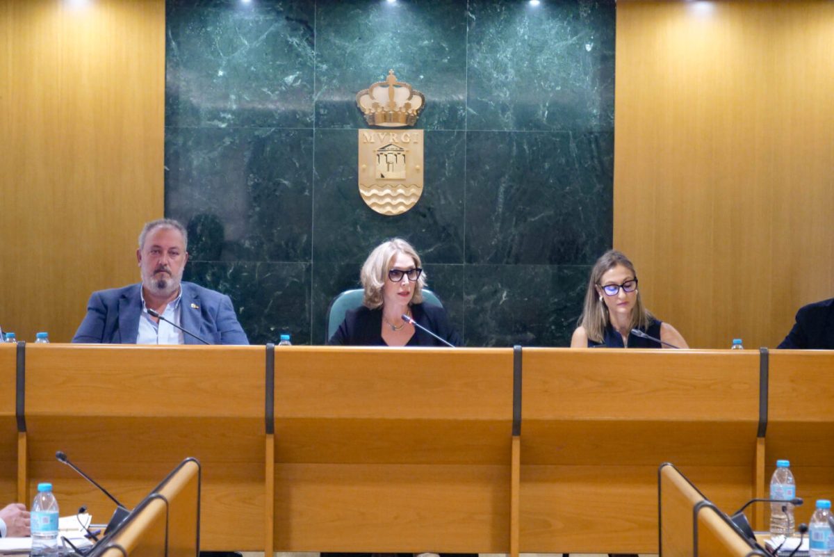 Pleno de El Ejido. /DC