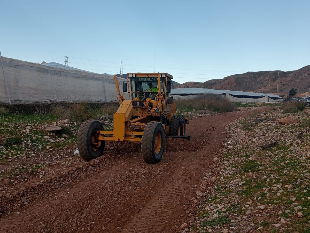 Trabajos de mejora en El Ejido. /DC
