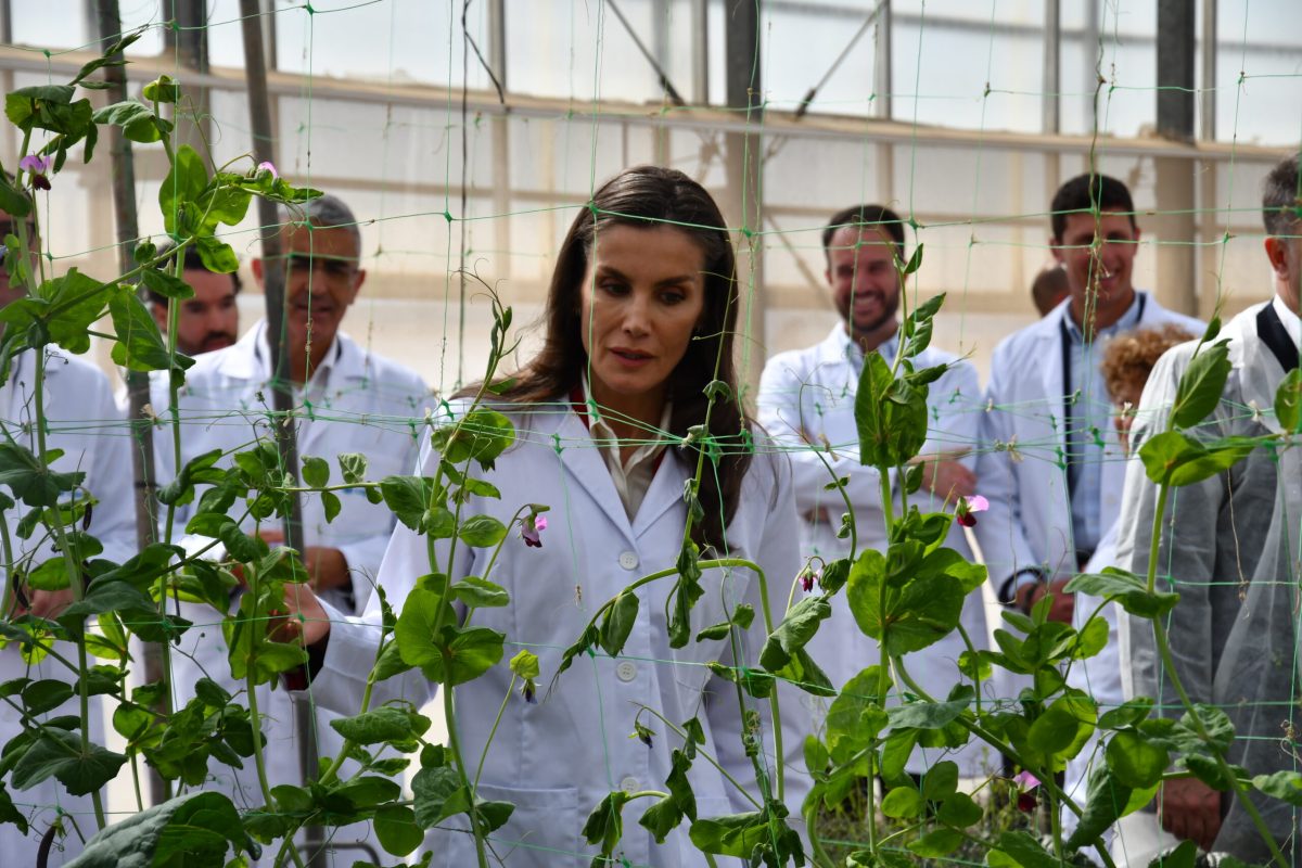 Doña Letizia durante la visita las instalaciones de 'Las Palmerillas'. /F. L. V.