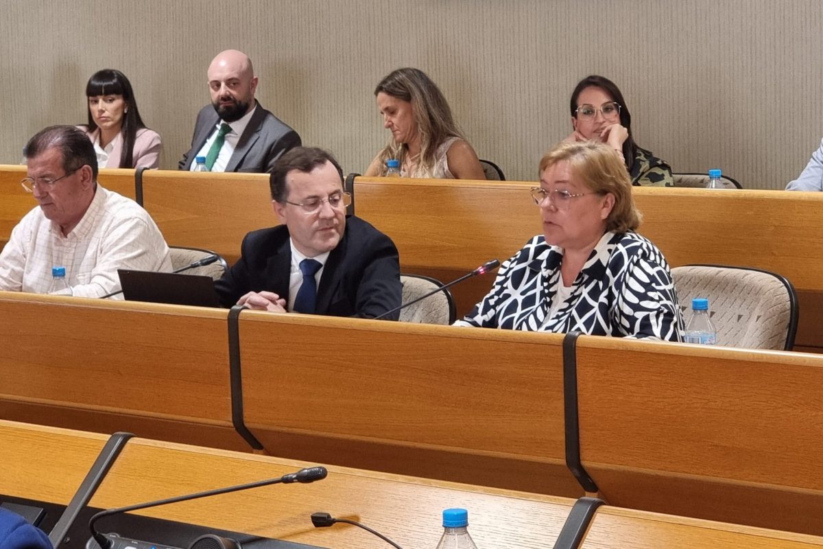 Intervención de la edil Mari Carmen Álamo. /DC