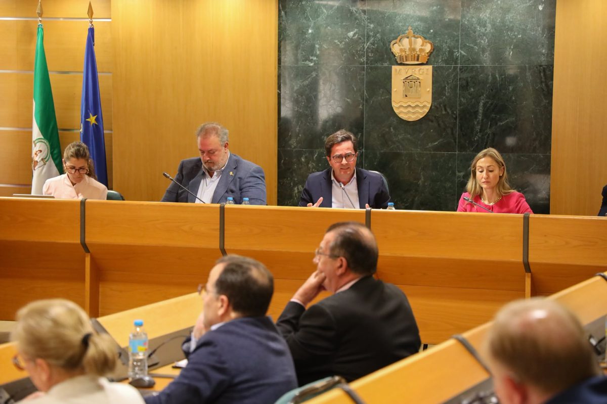 Francisco Góngora en una de sus intervenciones en el Pleno de este lunes 20 de abril