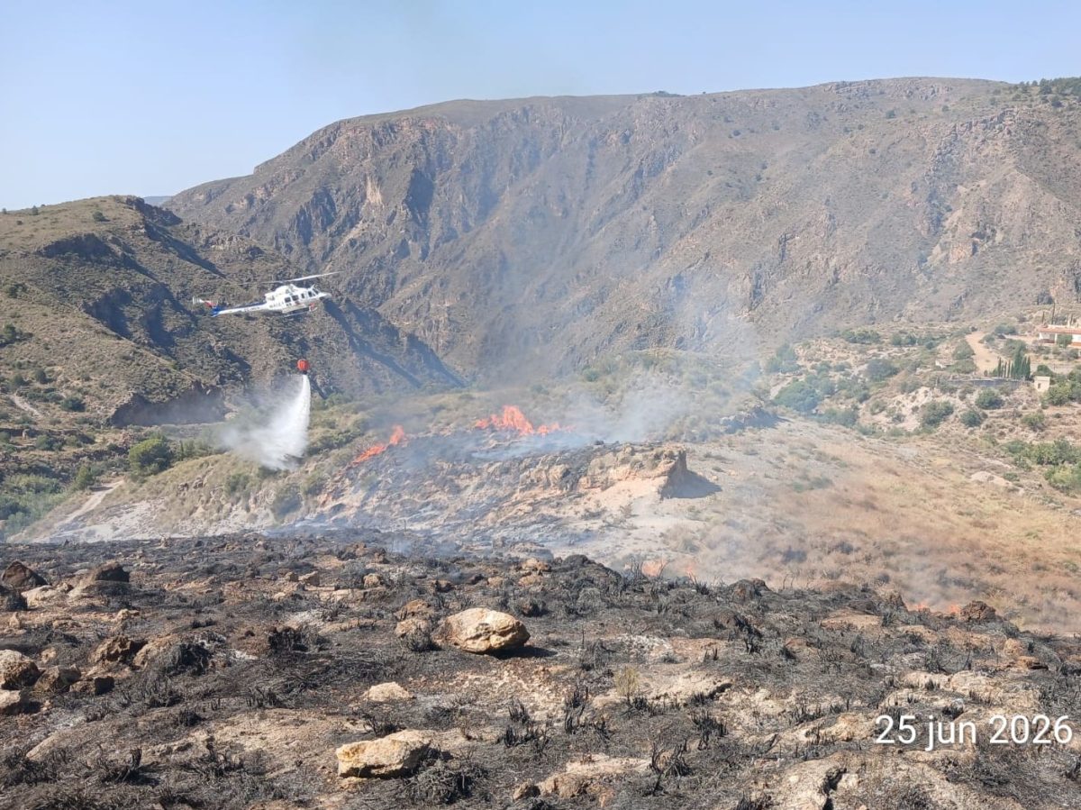 Imagen del incendio en Benínar. /DC