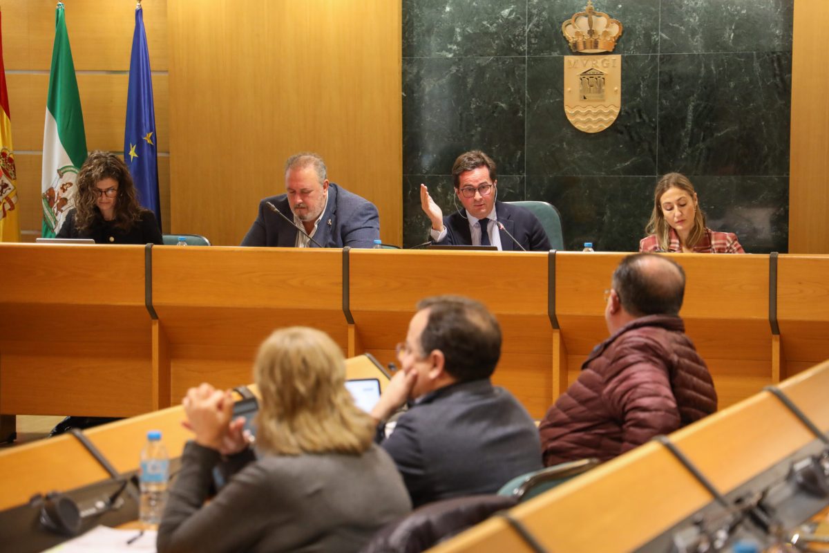 Pleno municipal en El Ejido. /DC