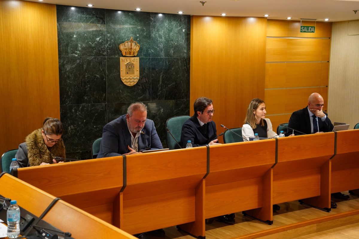 Pleno en El Ejido. /DC