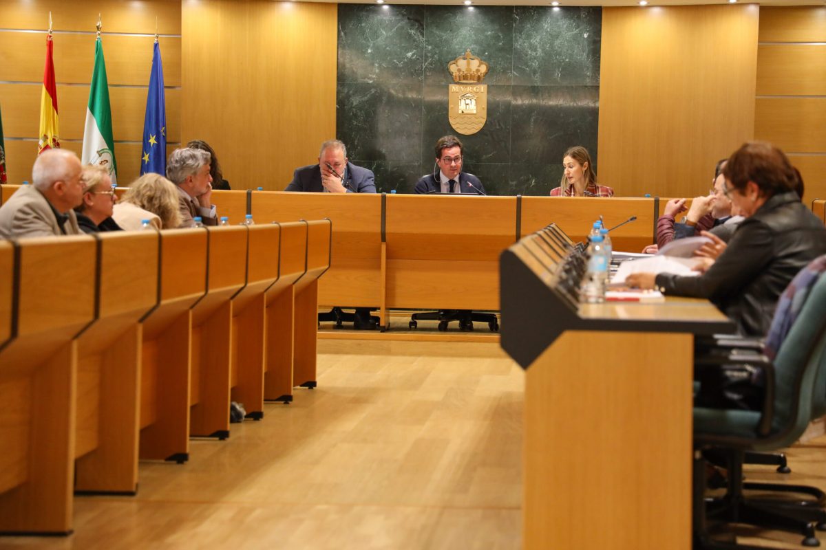 Salón de Plenos de El Ejido. /DC