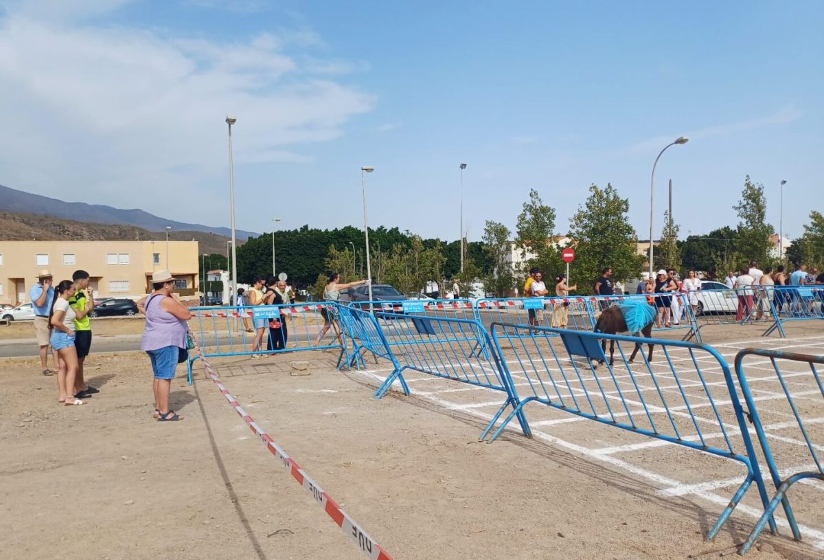 Los vecinos observan cómo la burra se mueve por la zona cercada