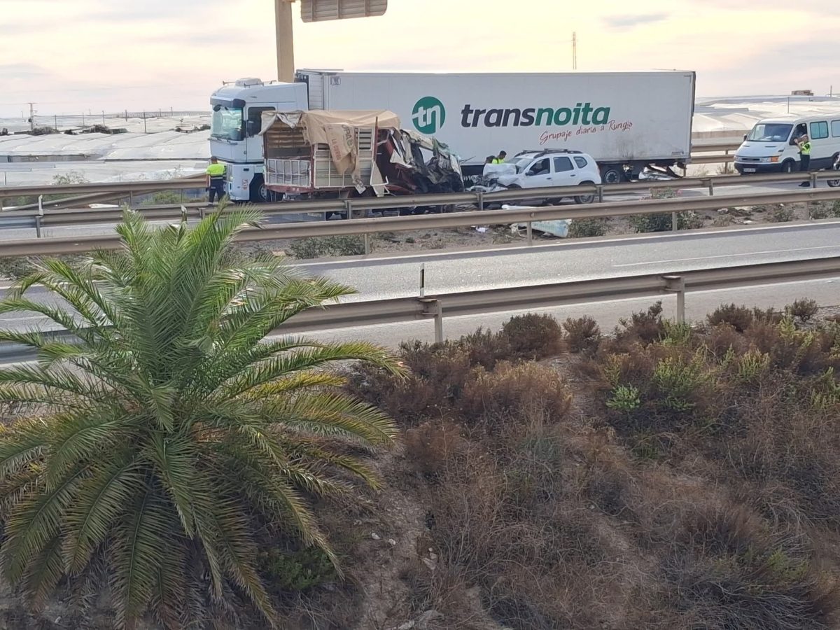 Imagen de la colisión. /DC
