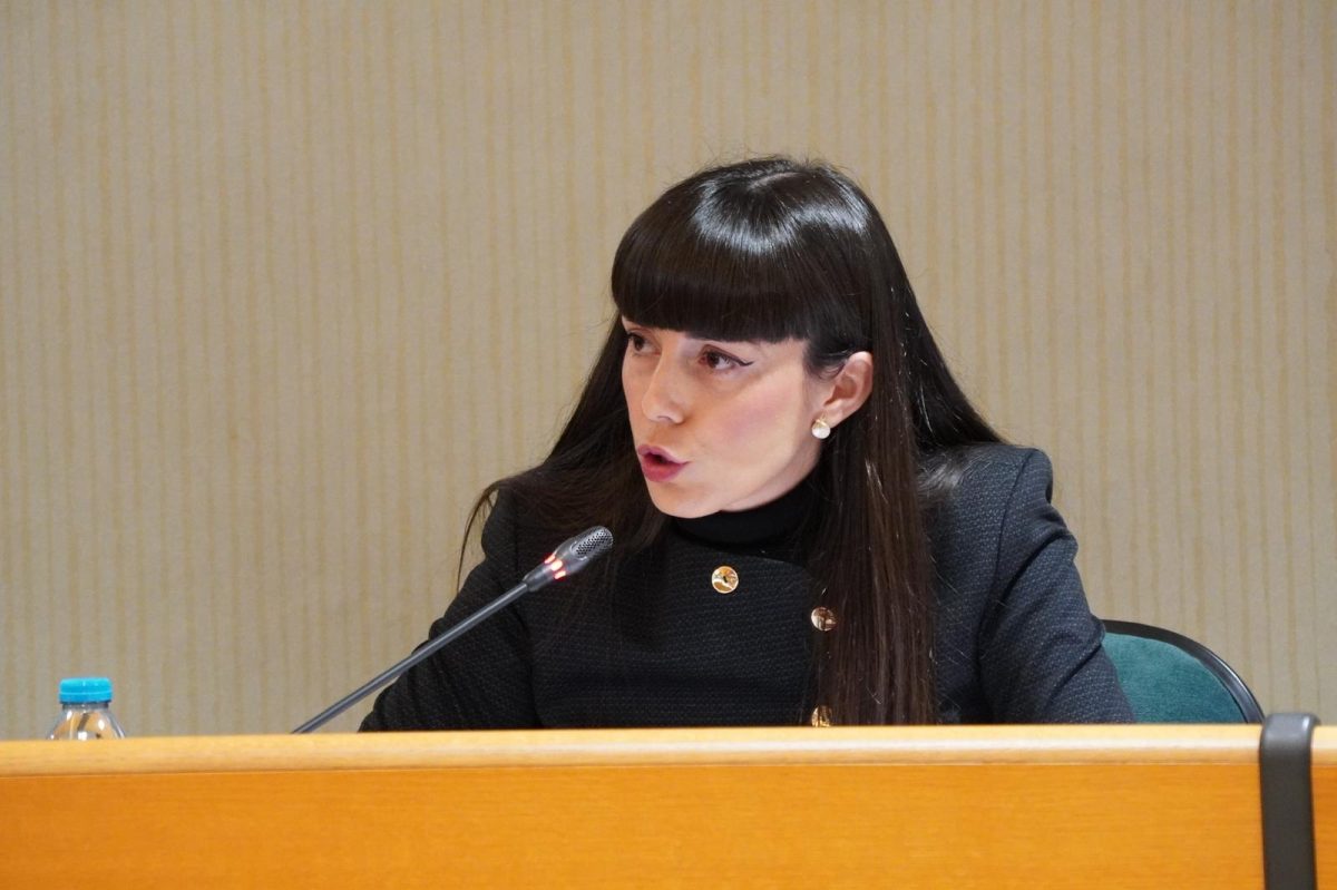 Beatriz Sánchez, portavoz de Vox El Ejido, en sesión plenaria