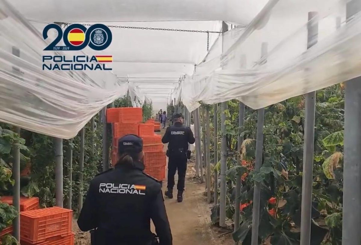 Inspección de la Policía Nacional en un invernadero. /DC