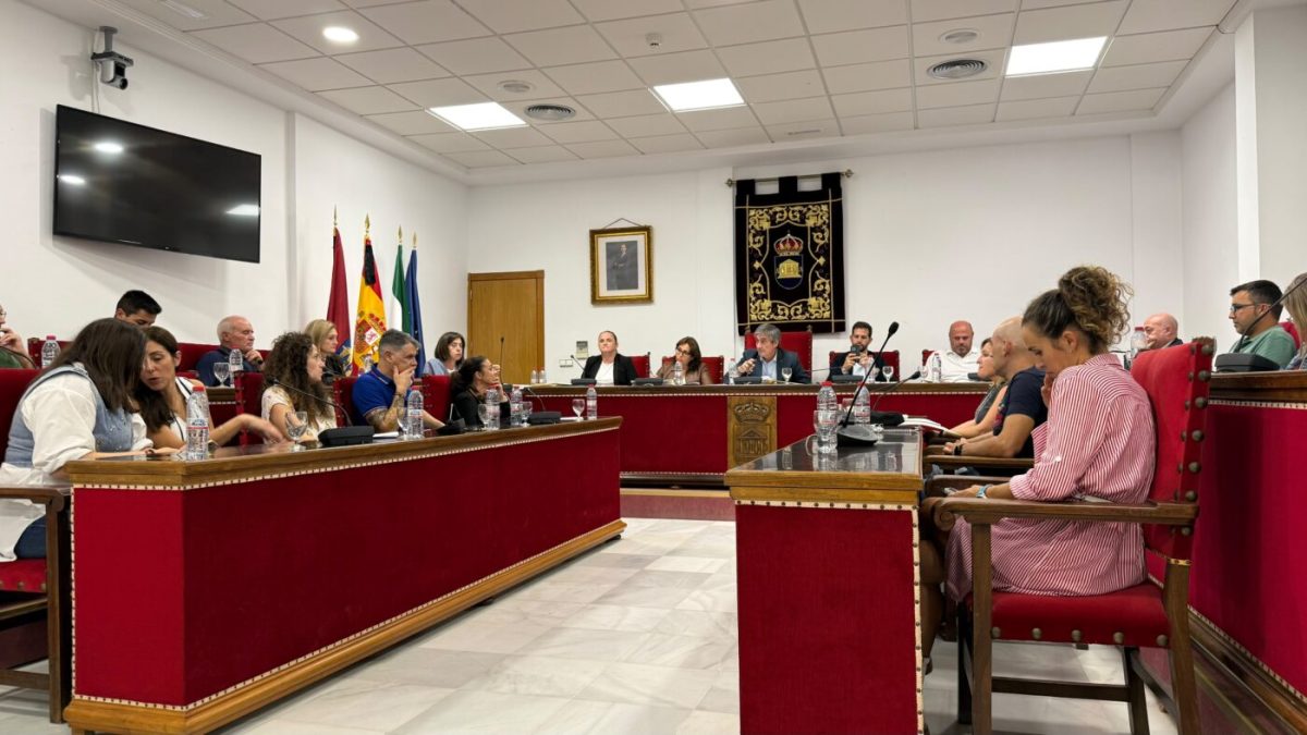 Pleno de Adra. /DC