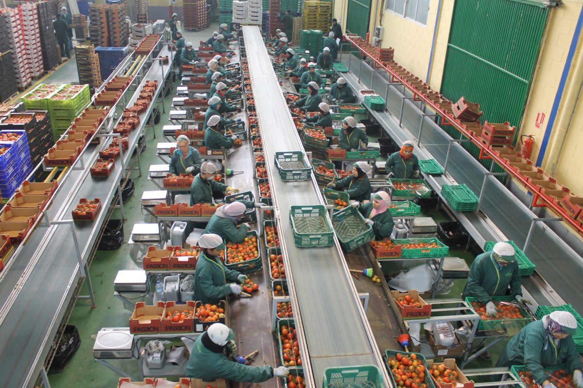 Almacén de manipulado hortofrutícola