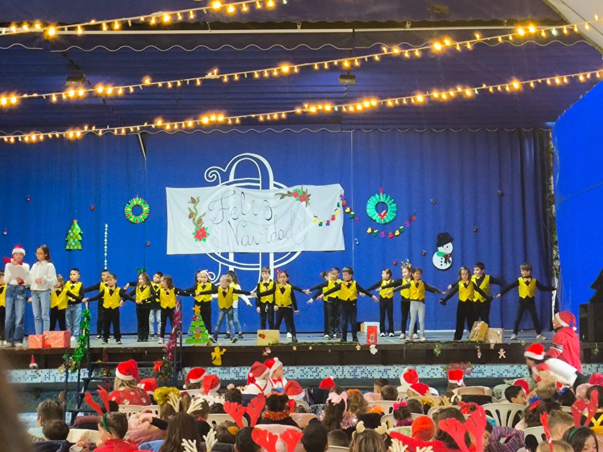Fiesta del Colegio Luis Vives. /DC