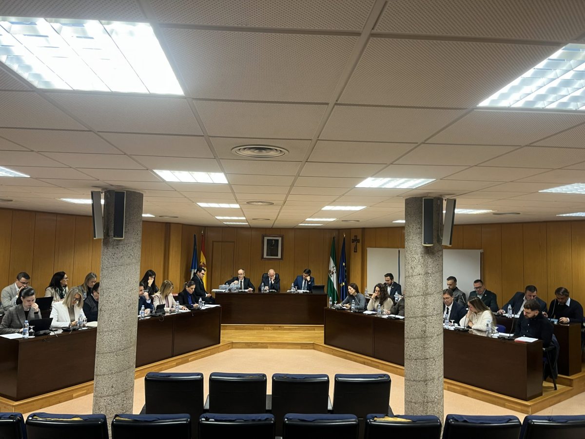Imagen del Pleno extraordinario en Roquetas de Mar. /DC