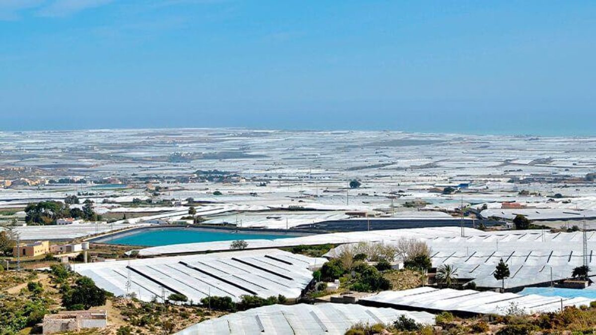 Vista de invernaderos