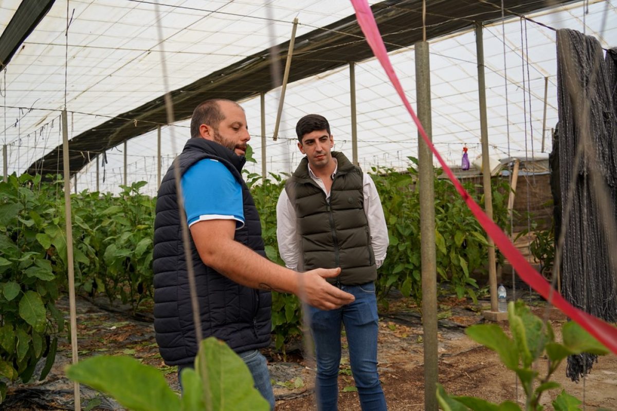 El Ayuntamiento de El Ejido anima a los agricultores a hacer uso de rafias alternativas con materiales biodegradables y compostables