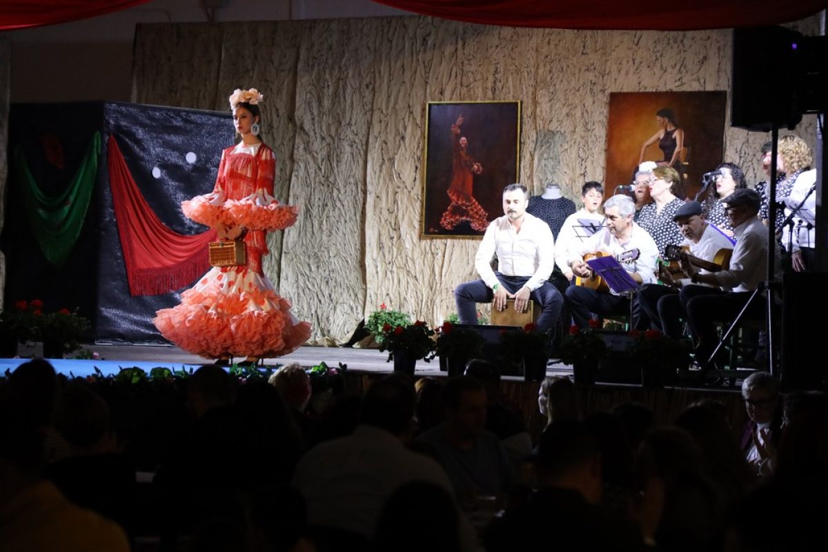 La V Gala \'Vive en Flamenco\' llena de solidaridad la Nave de Santa María del Águila a beneficio de \'Soy Especial y qué?