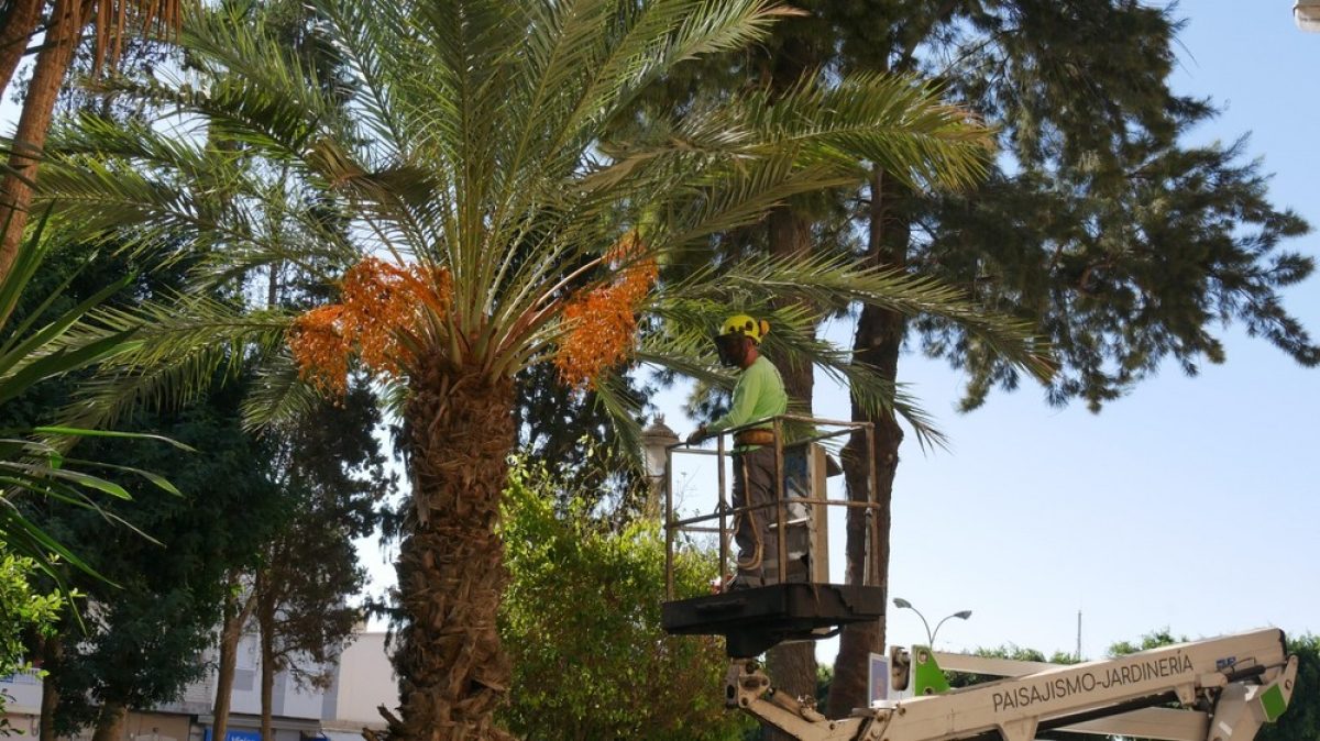 Adra destina 186.000 euros para reforzar el mantenimiento de parques y jardines