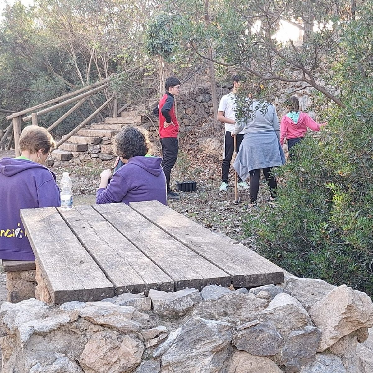 DaliAsuntillos siembra 60 algarrobos en el Arroyo de Celín