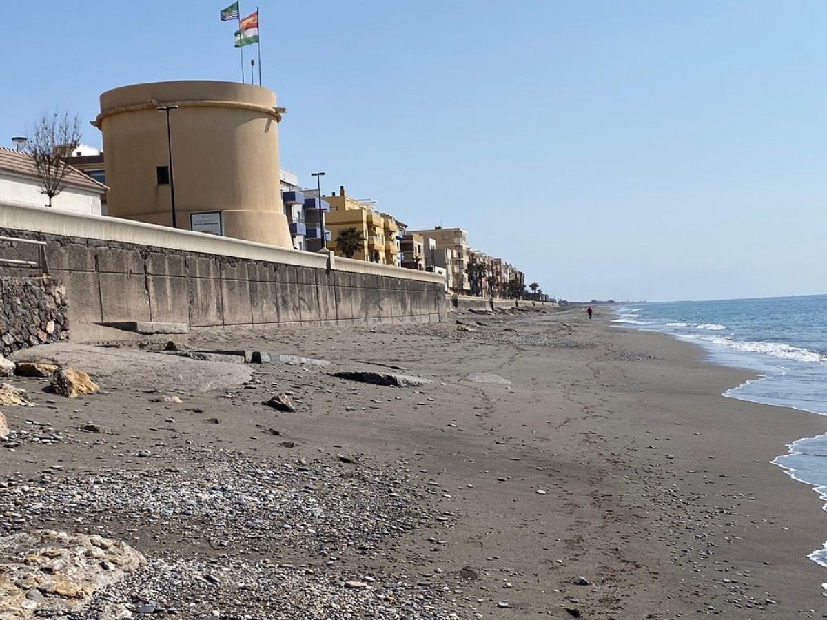 Góngora considera "adecuada" la propuesta de la Subdelegación para la playa de Balerma