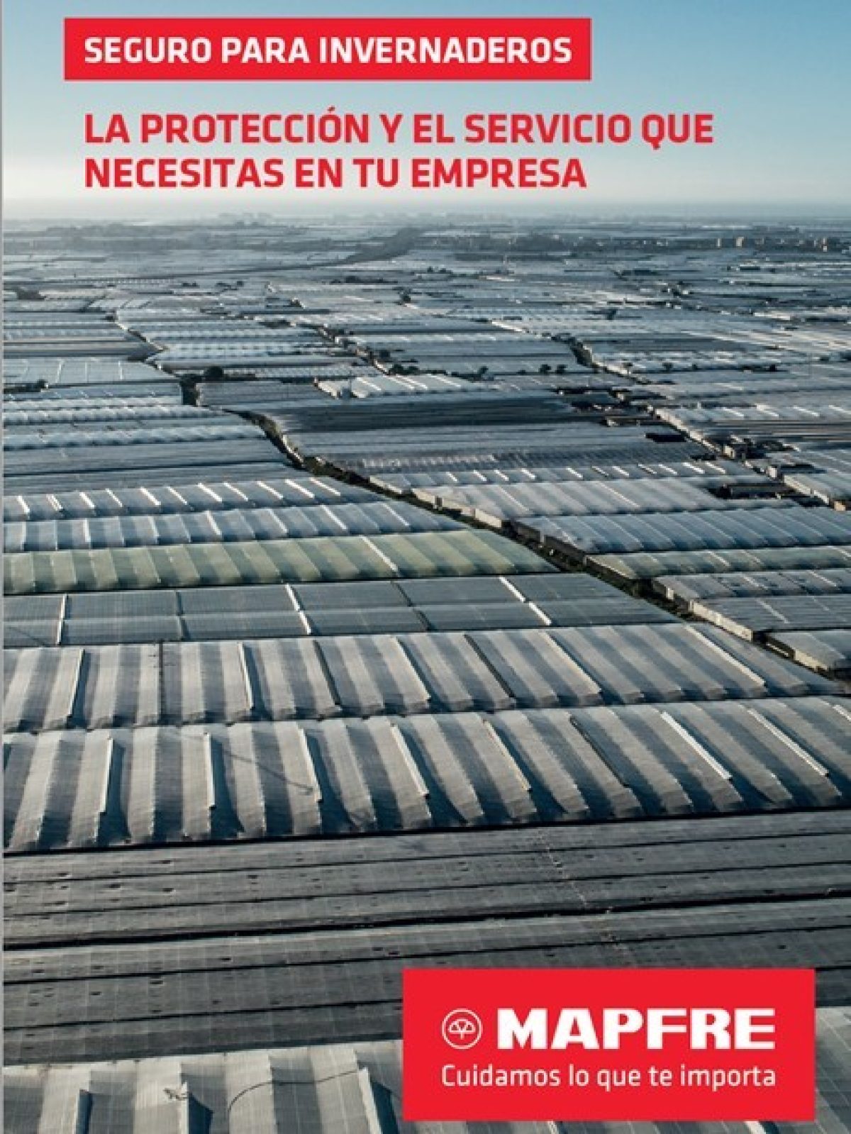 Innovación y liderazgo en seguros agropecuarios