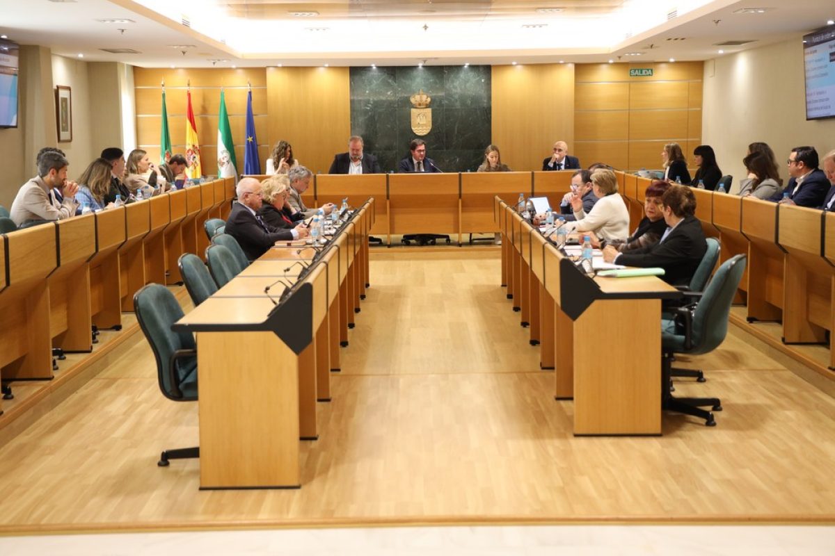El Ejido se suma a la declaración de la FEMP con motivo del \'Día de las Personas desaparecidas sin causa aparente\'