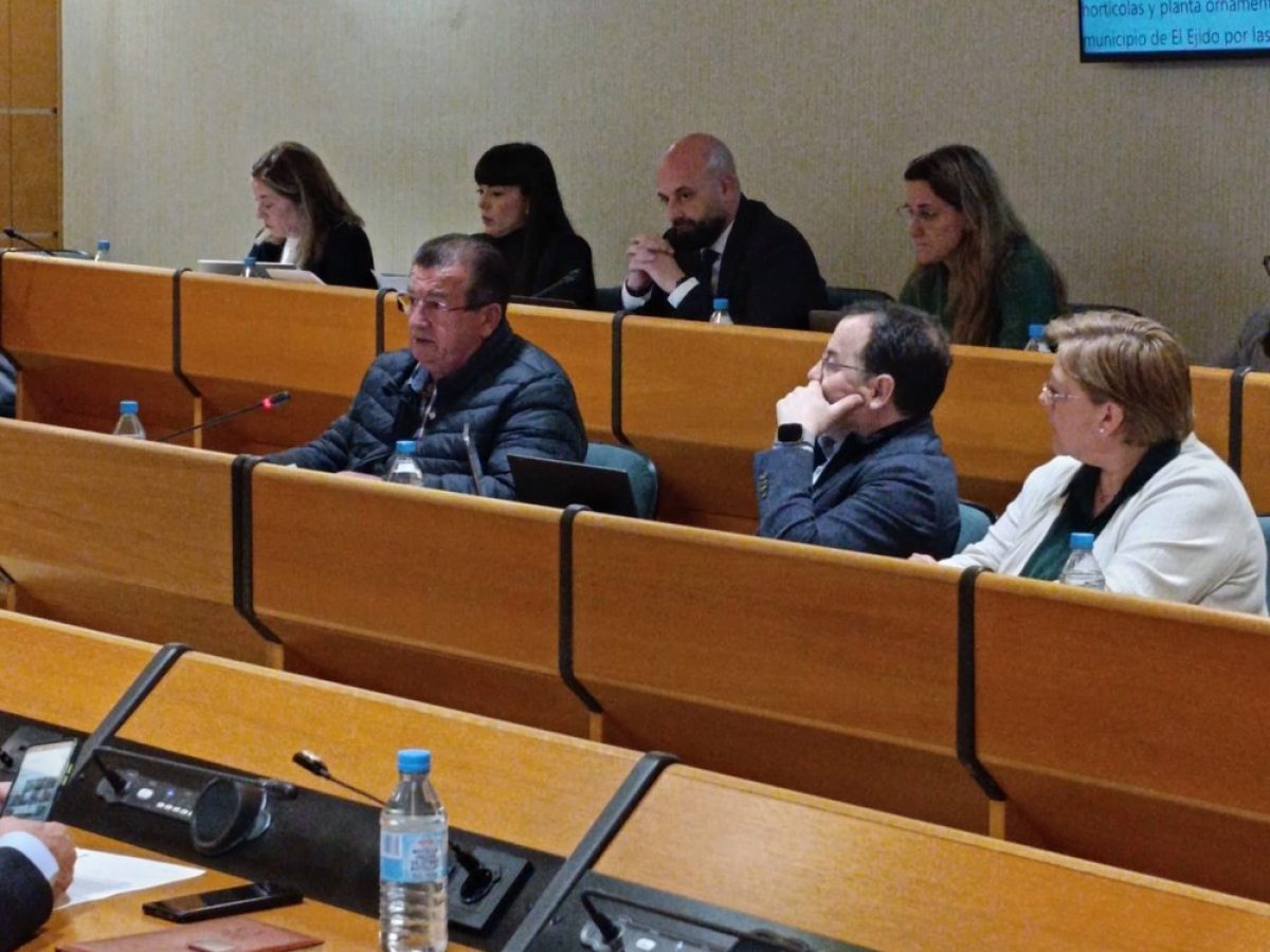 El PSOE de El Ejido pide al alcalde valentía para solucionar la falta de aparcamiento en el centro