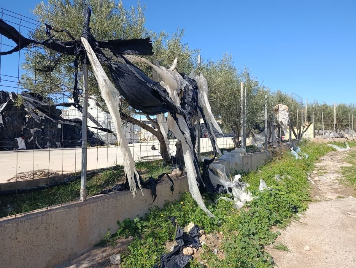 El PSOE pide al Ayuntamiento de El Ejido que garantice el tratamiento de los plásticos en Mundo Verde