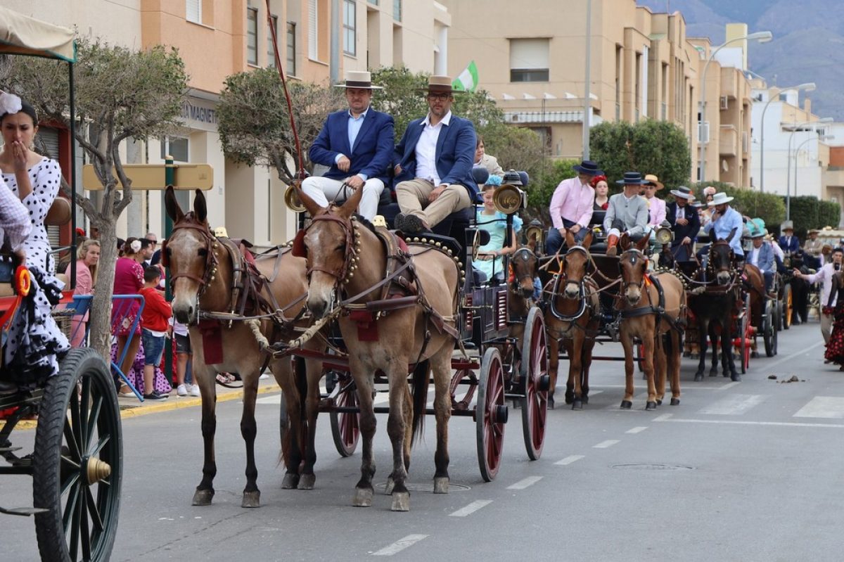 Abierto el plazo para inscribir a los equinos que participarán en la procesión-romería de San Marcos 2025
