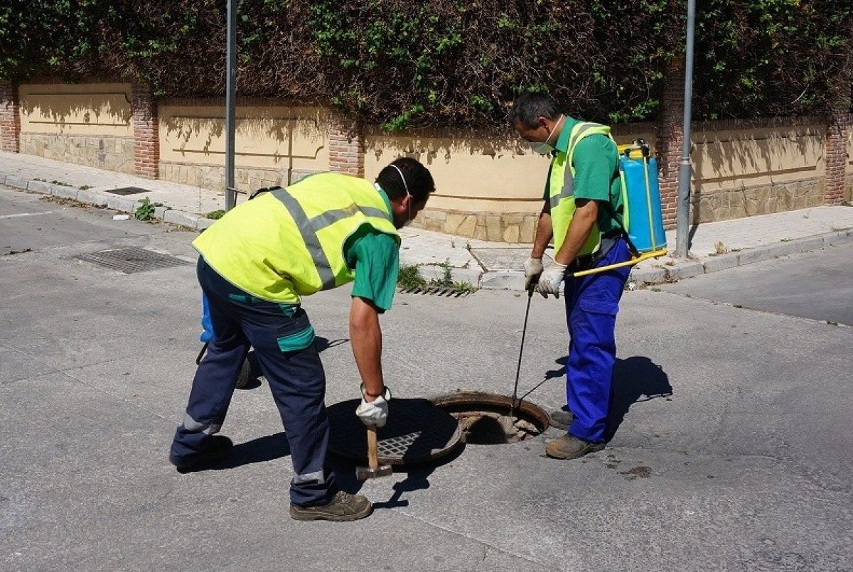 La campaña de control de plagas se intensifica en Vícar con la llegada de la primavera