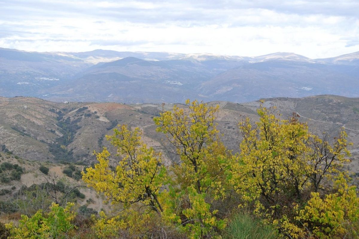 Murtas y Vícar se hermanan en una ruta senderista al Cerrajón