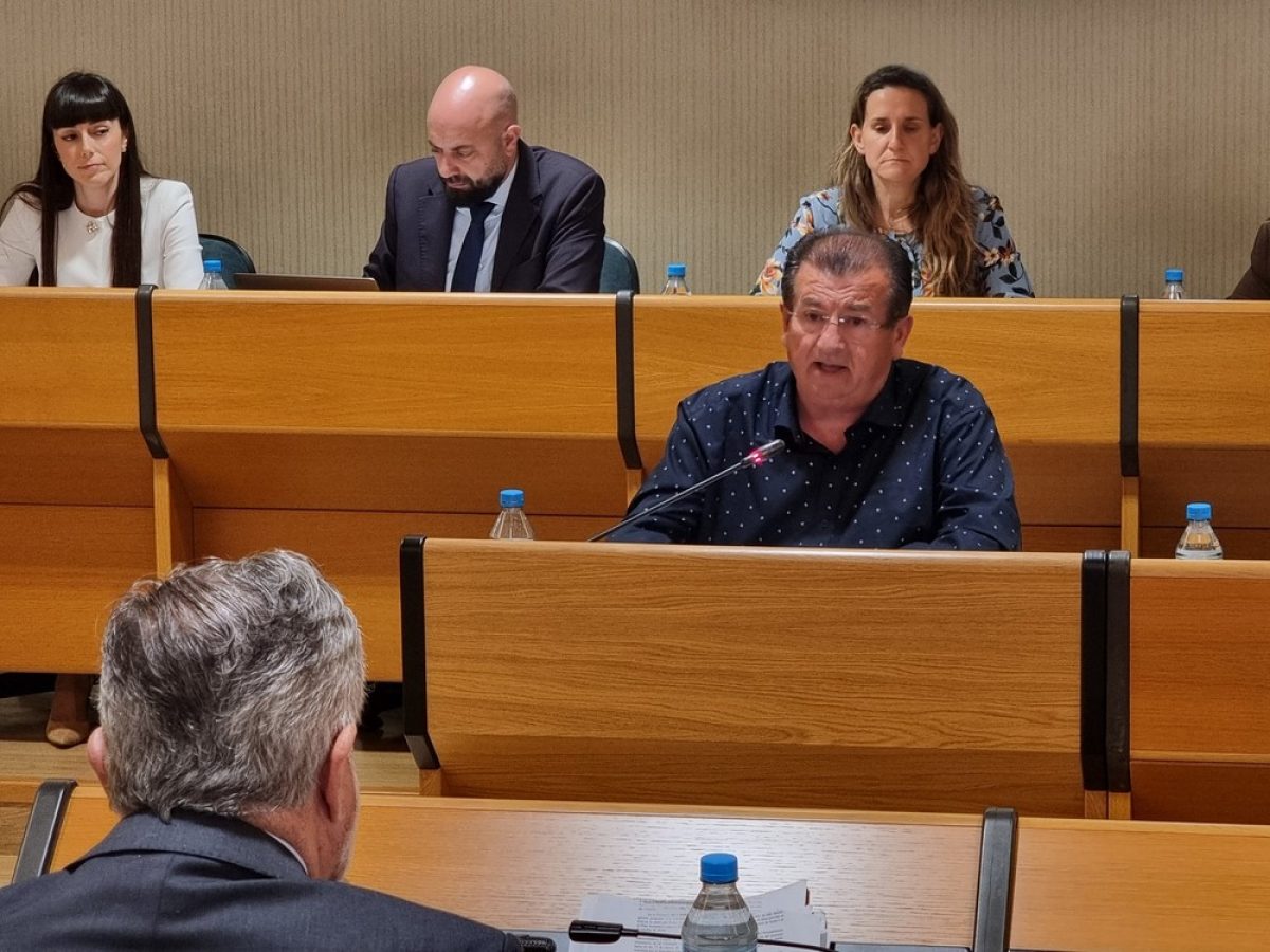 Alarcón carga en el Pleno contra el equipo de Gobierno: "intentan tapar sus propias vergüenzas€