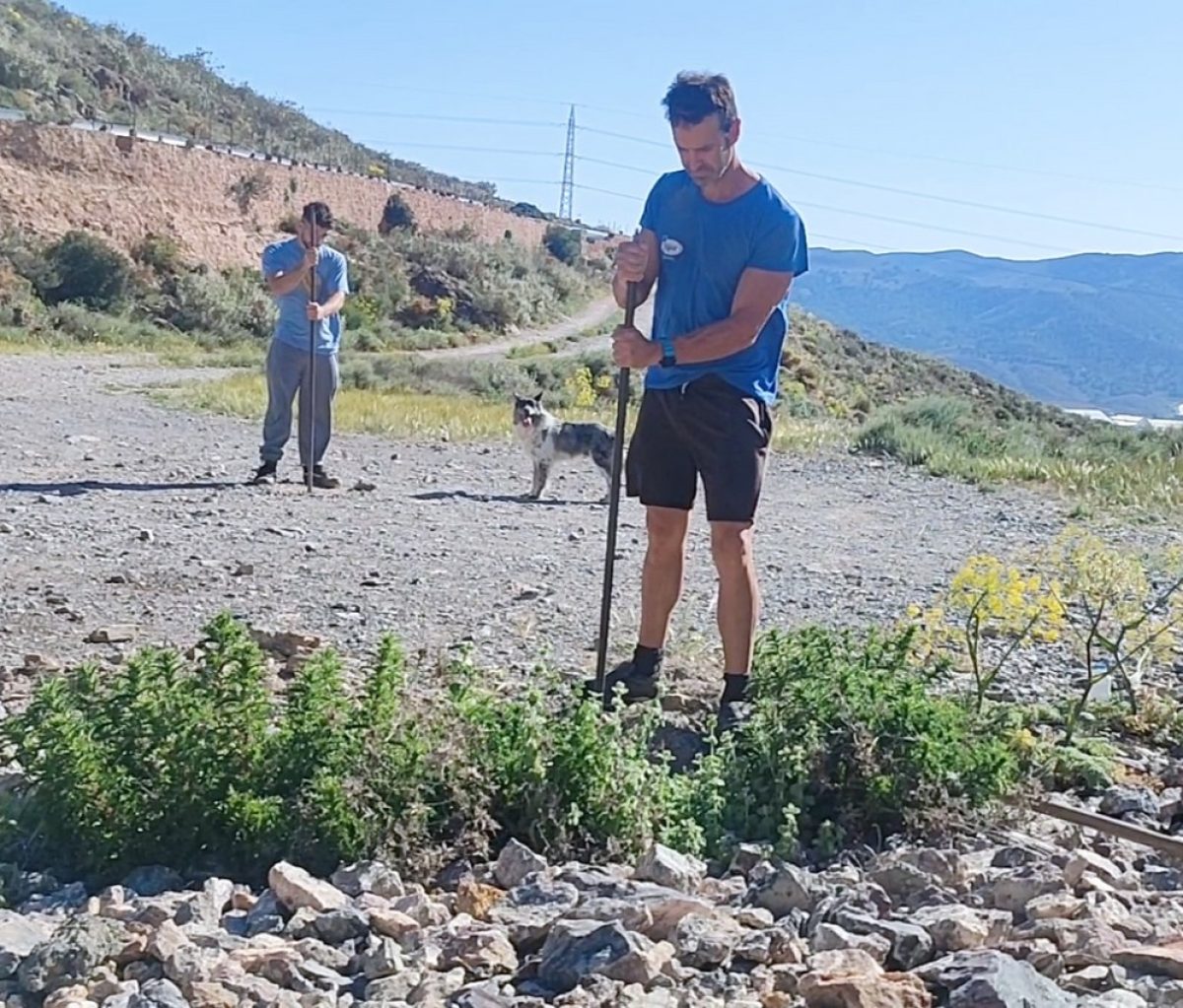 La Asociación \'El Valle\' de Dalías impulsa la repoblación del paraje de Fuente Nueva