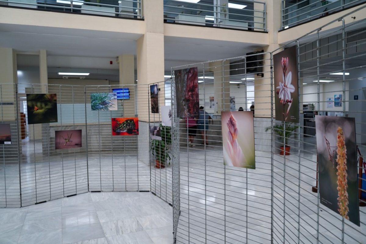 El Patio de Luces del Ayuntamiento acoge la muestra del XXV Concurso de Fotografías de Espacios Naturales Protegidos de Almería