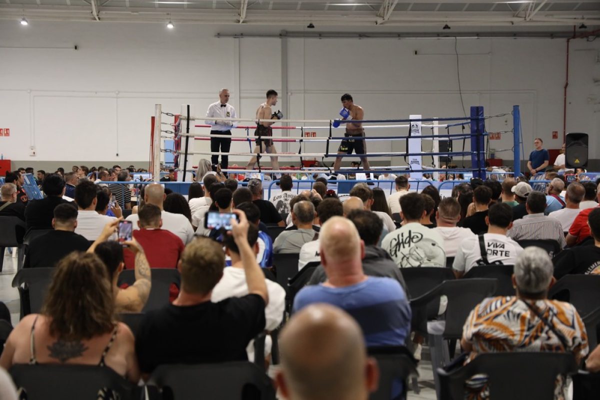 Velada de boxeo homenaje a la familia Bisbal con duelo profesional de Álvaro \'El Mago\' Godoy