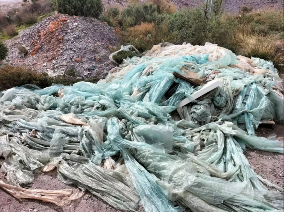 La Playa de Los Bajos de Roquetas castigada con una Bandera Negra por los vertidos de microplásticos