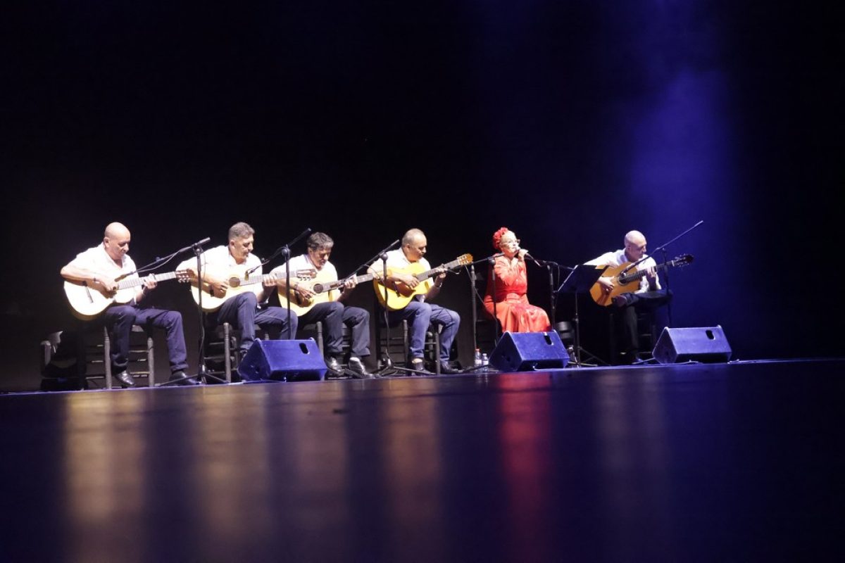 La Asociación Francisco Velarde une cante, baile y solidaridad a beneficio de El Timón