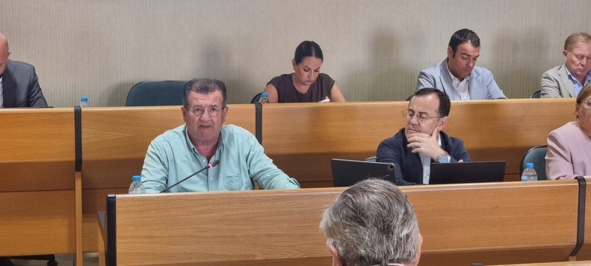 El PSOE de El Ejido critica que el PP \"se quede solo\" al votar en contra de su moción por la sanidad pública
